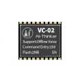 Ai-Thinker VC-02 module. 