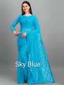 Self Design Bollywood Net Saree For Women. 