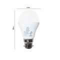 DGPL 9 W Round B22 LED Bulb (White, Pack of 1). 
