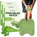 Eelhoe Pain Relief Patches. 