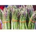 Asparagus Seeds 30+Seeds Imported Kurilo Seeds For Garden. 