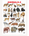 Dreamland Animals-2 Educational Wall Chart. 
