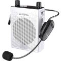 W-King KS16 Wireless Bluetooth Fm USB Sd Speaker with Microphone. 