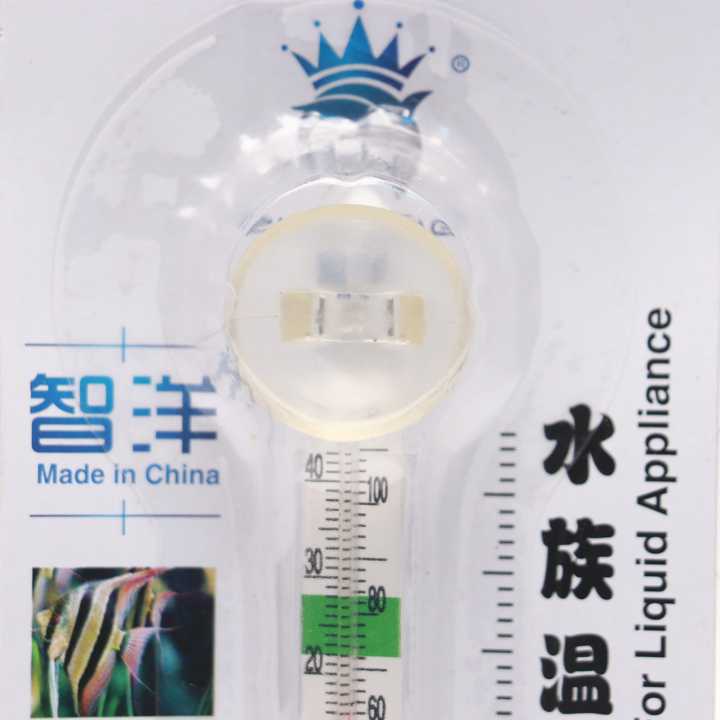 Zhiyang%20Thermometer%20For%20Liquid%20Appliance%20Zy-002%20-%20Image%203