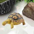 Aomeidaju Sulcata Tortoise Mold Vivid Aquarium Ocean Marine Animals Model Education Kids Toy. 