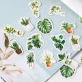 Sweet Journal 45PCS Green Life Series Stickers Album Diary Journal Decorative Crafts Scrapbooking DIY Boxed Sticker. 