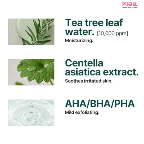 SOME%20BY%20MI%20%20AHA,%20BHA,%20PHA%2030%20Days%20Miracle%20Acne%20Clear%20Foam%20%5B100ml%5D%20By%20koreanbeautypoint%20-%20Image%204