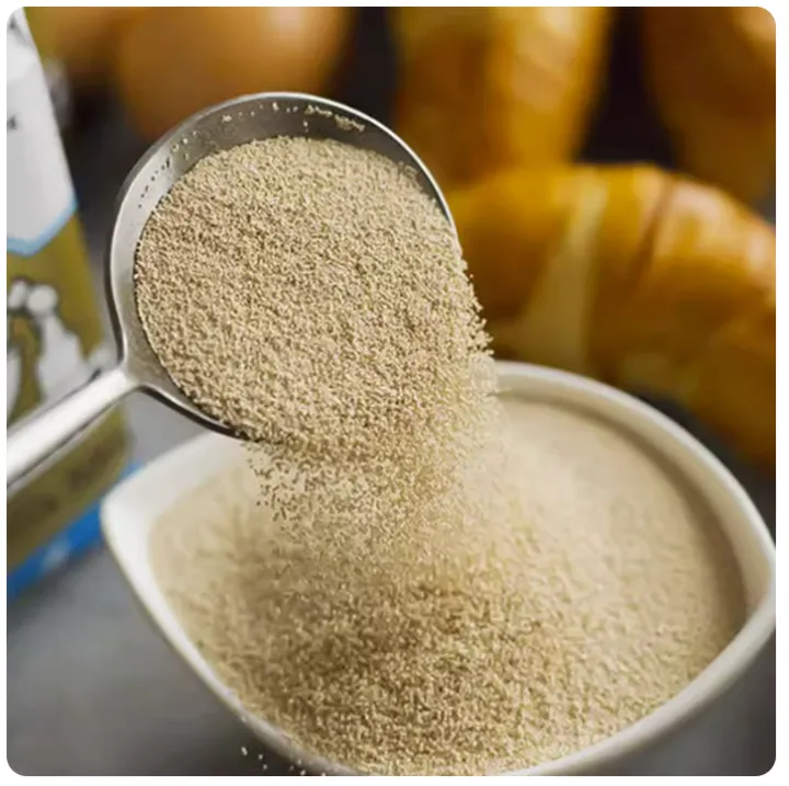 ShopWholly%20Premium%20Dry%20Yeast%20%E2%80%93%20Instant%20Active%20Yeast%20for%20Soft,%20Fluffy%20&%20Perfect%20Baking%20%E2%80%93%20100g%20/%20200g%20-%20Image%203