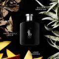 Ralph Lauren Polo Black M EDT 75ml. 