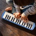 Brother Melodica 32 Keys Piano Style Keyboard With Free Soft Case (Assorted Color). 