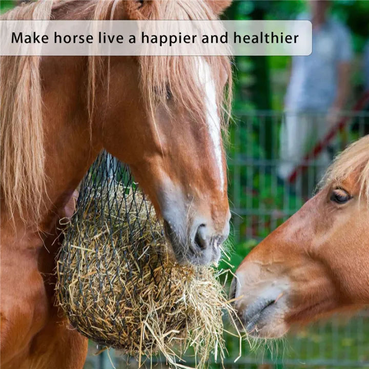 2%20Pcs%20Slow%20Feed%20Hay%20Net%20Hay%20Feeder%20Hay%20Bag%20Hay%20Net%20for%20Horses%20Slow%20Feeder%20Haynet%2040%20Inch%20Length%20with%202%20Inch%20Holes%20Easy%20Install%20Easy%20to%20Use%20-%20Image%205