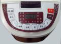 Digital Controlled Rice Cooker / Multi Cooker 5L. 