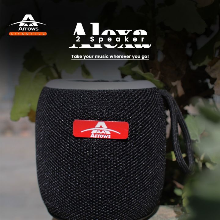 Arrows%20Alexa%202%20Wireless%20Portable%20Speaker%20%7C%205%20Watt%20%7C%201800%20Mah%20Battery%20%7C%2052%20MM%20Drive%20%7C%206%20Months%20Warranty%20-%20Image%207