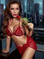 Fancyra Women  3 Piece Lingerie Lace Babydoll Sexy Bra and Panty Sets With Cover Up. 