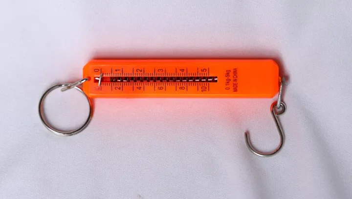 PLASTIC SPRING BALANCE 0.1KG TO 5KG | Daraz.com.np