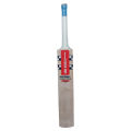 Gray Nicolls Cricket Bat Kasmire Willow. 