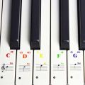 Multicolor for Beginners 88Keys for White Keys Sticker Symbol Electronic Keyboard Key Piano Stave Note Keys Sticker Piano Keyboard Stickers Note Sticker. 