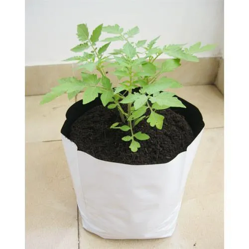 Grow%20Bags%20Medium%20Size%2020x20x35%20cm%20(8x14%20Inch),%20Pack%20of%20%2010%20Pcs%20-%20Image%202
