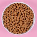 Dog Food 1Kg By HAMROPETS. 