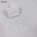Wenefang Girls Boys Newborn Photography Props Baby Milestone Photo Props Profesional Wooden Baby Monthly Milestone Cards 3D Flowers Double Sides. 