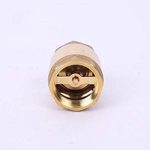 Brass%201"%20Check%20Valve/%20Brass%20&%20Spring%20Made%20Of%20Stailess%20steel%20-%20Image%202