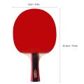 Table Tennis 2 Player et-01. 