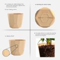 SHERA | Hexa 6" Planter | Indoor and Outdoor | Gamala | Flower Pot. 