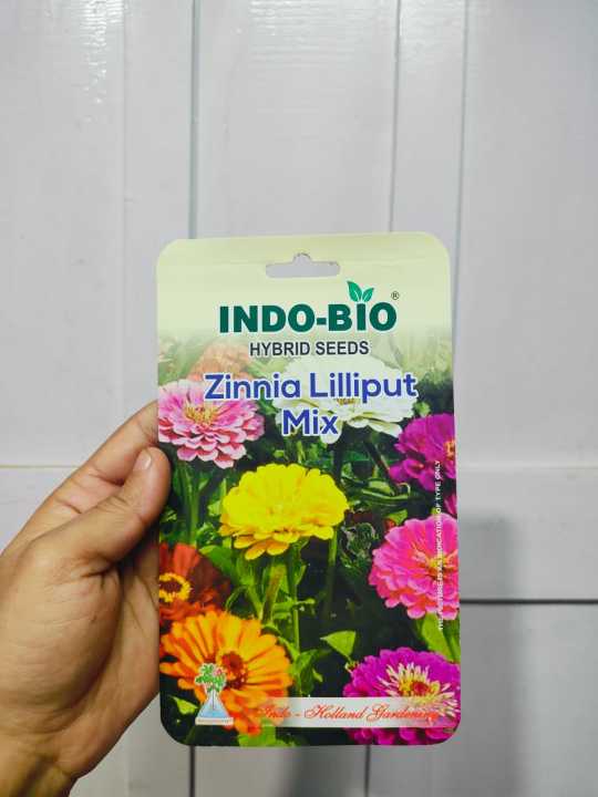 1 Packet Zinnia Lilliput – Compact, Colorful Blooms for Small Gardens ...