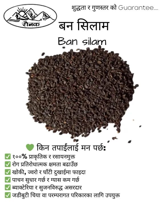 Ban%20Silam%20(%20Himalayan%20Mint%20)%20Seed%20/%20Bunsilam%20/%20Bansilam%20-%20200gm%20-%20Image%202