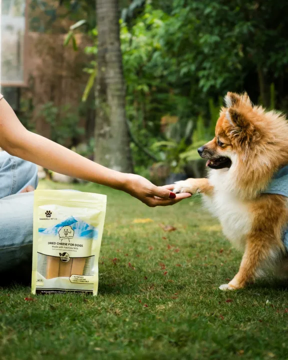 Shangrila%20Pet%20Co%20%E2%80%93%20Original%20Nak%20(Female%20Yak)%20Chews%20for%20Dogs%20%7C%20100%25%20Natural%20Himalayan%20Cheese%20Treat%20%7C%20Large%20Pack%20of%203%20%7C%20Long-Lasting,%20High%20Protein,%20Lactose-Free%20Dog%20Treats%20-%20Image%204