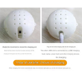 Electronic Pet Dog Toy Ball Pet Bouncing Jump Balls Talking Interactive Dog Plush Doll Toys C. 