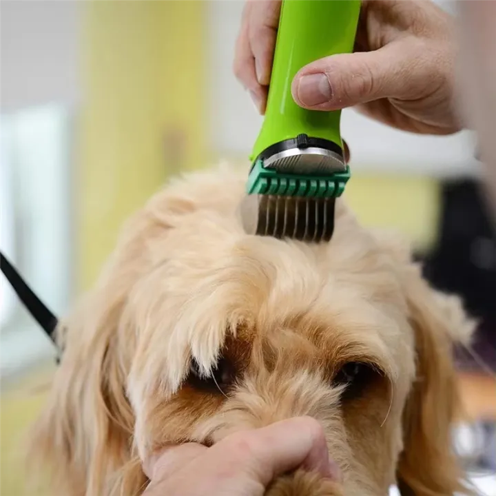 Stainless%20Steel%20Metal%20Combs%20Set%208-Colors%20for%20Professional%20Animal%20Clipper%20Guide%20Attachment%20for%20Pet%20Dog%20Cat%20Horse%20-%20Image%202