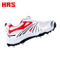 Hrs Cricket Shoes - TEST. 