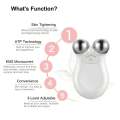 New Portable Mini Home Facial Toning Device Handheld Microcurrent Anti-Aging Face Massager For Eye Wrinkle Removal. 