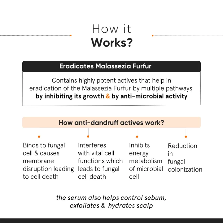 Minimalist%20Anti-Dandruff%20Hair%20Serum%20for%20Scalp%20%7C%20Pre%20Shampoo%20Treatment%20with%20CPH%20Complex%20&%20Oligopeptide%200.8%25%20%7C%20With%20Elestab%20Advanced%20Anti%20Dandruff%20Molecule%20%7C%20For%20Women%20&%20Men%20%7C%2050%20ml%20-%20Image%203