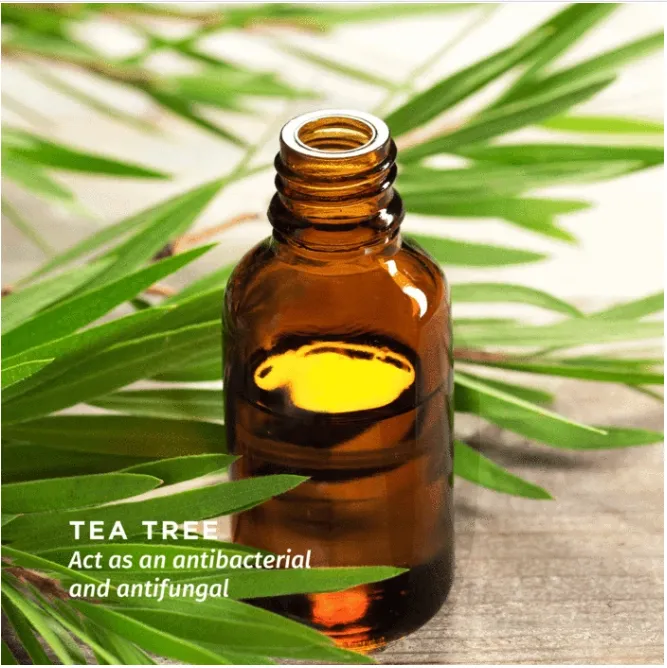 Pee%20Safe%20Natural%20Intimate%20Wash%20For%20Women%20(105ml)%201N%20+%20Men's%20Intimate%20Wash%20(100ml)%201N%20-%20Image%208