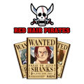 One Piece Anime Bounty Wanted Poster Set Of 10 Gol D Roger Whitebeard Marco Ace Boa Hancock Eustass Captain Kid Kill er Doflamingo Kuma Katakuri. 