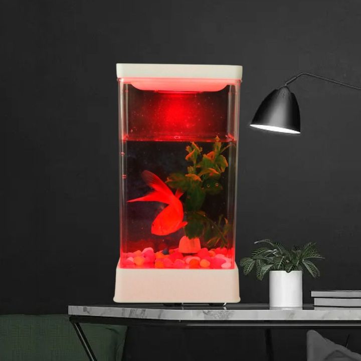 Fresh Look at Betta Aquatic Transparent Desktop Betta Fish Plastic With Colorful