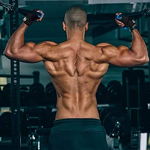 Gym%20Gloves%20for%20Men%20Workout%20-%20Silicon%20Padded%20Glove%20for%20Weight%20Lifting%20%7C%20Half%20Finger%20Gym%20Gloves%20with%20Wrist%20Support%20for%20Fitness%20Training%20for%20Men%20Women%20-%20Image%203