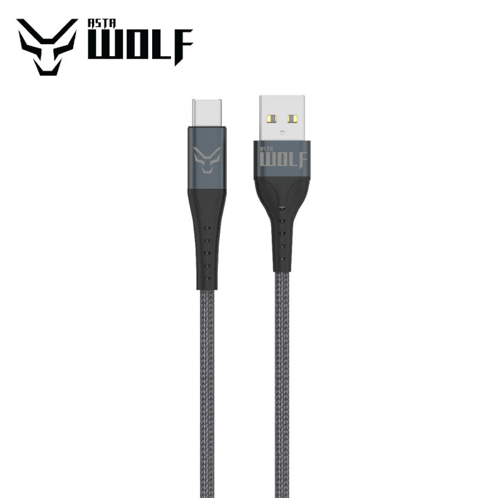 Asta WOLF Hyper | USB to Type C | 100cm Braided | Flexible | Ultra Fast Charging Data Cables | 6A Current | 120W Output |