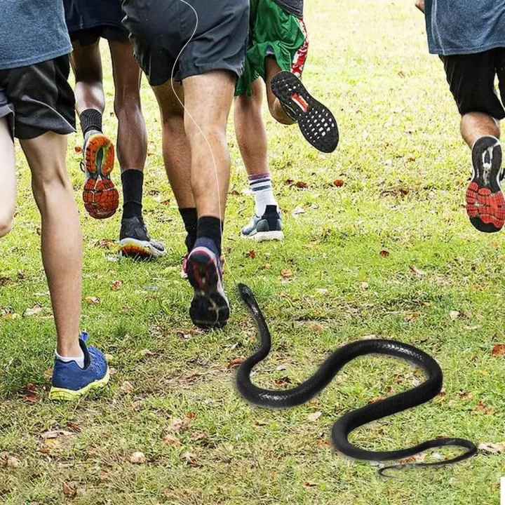 Fashion%20Simulation%20Snake%20Snake%20Prank%20Large%20Realistic%20Fake%20Snake%20Model%20Funny%20Gift%20Practical%20Joke%20Rubber%20Snake%20Toy%20Kids%20Toy%20-%20Image%206