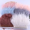 1 Meter Handmade Ribbon Tassel Natural Ostrich Feathers Sewing Decoration 10-15cm Wide Ostrich Feathers Trim Feather Plumes Ribbon Selvage Costumes Sewing Accessories. 