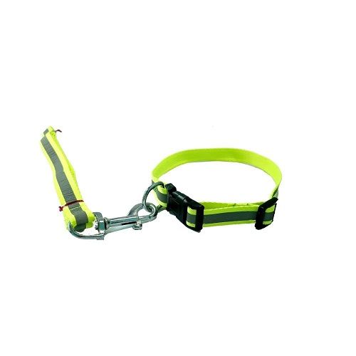 Puppy%20Collar%20%7C%20Kitten%20Collar%20%7C%20Cat%20Collar%20And%20Leash%20Set%20Reflective,%20Night%20Safety%20%7C%20Adjustable%20With%20Bell%20-%20Image%206