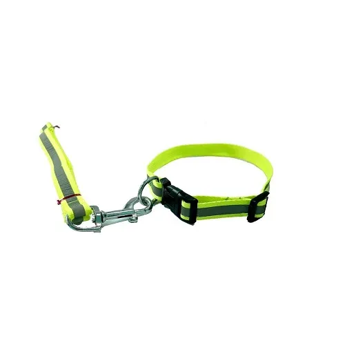 Puppy%20Collar%20%7C%20Kitten%20Collar%20%7C%20Cat%20Collar%20And%20Leash%20Set%20Reflective,%20Night%20Safety%20%7C%20Adjustable%20With%20Bell%20-%20Image%206
