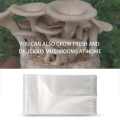 50 Count Mushroom Bags/Mushroom Growing Bags 2.5 Polypropylene Farm-Mushroom Spawn. 