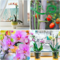 fasdaga 120Pcs Plant Supports Set - 40 Pack Flower Plant Stakes Sticks (3 Sizes), 40 Plant Support Clips and 40 Orchid Clips. 