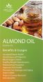 Almond Oil 100 Ml cold pressed / Herbs Nepal. 