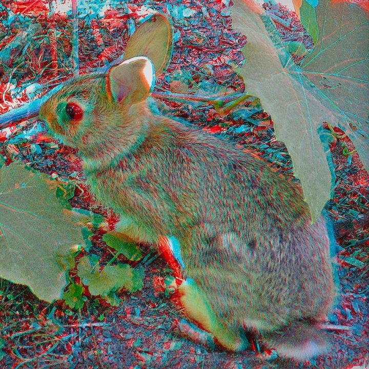 Set%20Of%204%20Pcs%203D%20glasses%20Red%20Cyan%20Anaglyph%203d%20Paper%20Eye%20Glasses,Red%20Blue%203d%20Paper%20Glasses%20-%20Image%204