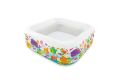 Clearview Aquarium Pool 62.5in x 62.5 in x 19.5in - For Babies | Portable Inflatable Swimming Pool For Babies |. 