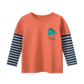 Baby Boy Dino Print Colorblock Long Sleeve Tshirts. 